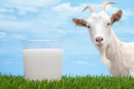What you need to know about goat