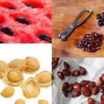 Useful Fruit Seeds for the Body