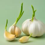 Is it safe to eat sprouted garlic?