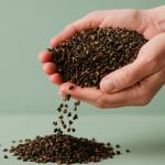 Strengthens health and warms you on cold winter days