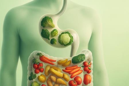 Every organ has its favorite food