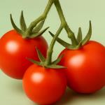 How to recognize dangerous tomatoes