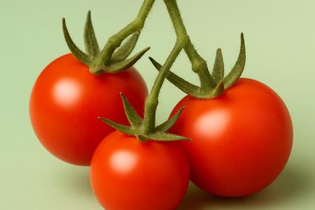 How to recognize dangerous tomatoes