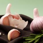 What happens if we put garlic in the refrigerator before we cut it