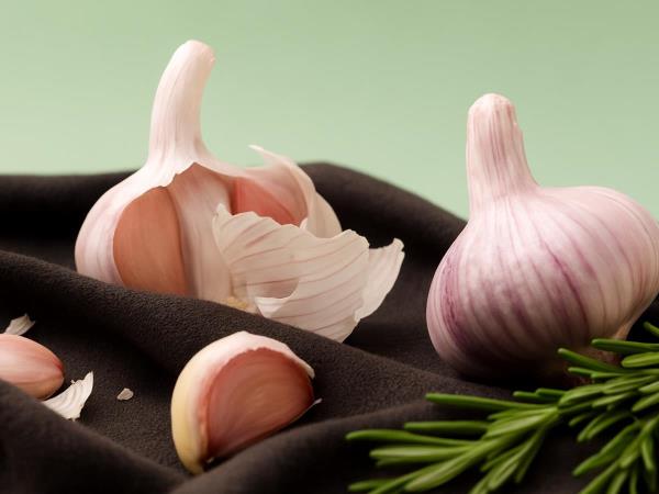 What happens if we put garlic in the refrigerator before we cut it