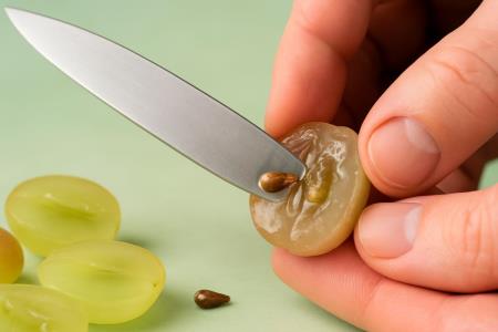 Why do pharmacists hide grape seed oil?