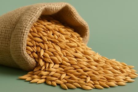 Barley water against hormones that stimulate appetite