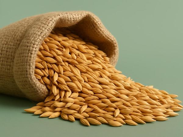 Barley water against hormones that stimulate appetite