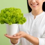 When Can Lettuce Be Problematic