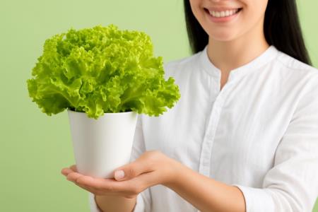 When Can Lettuce Be Problematic