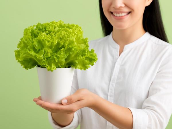 When Can Lettuce Be Problematic