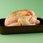 The terrible truth about chickens