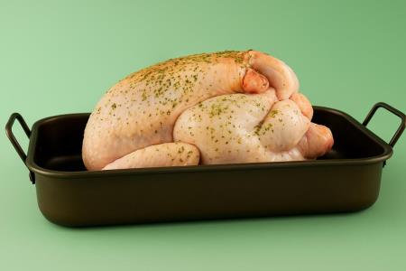 The terrible truth about chickens