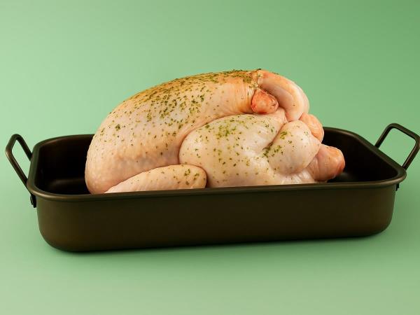 The terrible truth about chickens