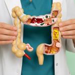 Find out what your metabolism is like and adjust your diet