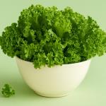 The most demanding body detox or how to get rid of heavy metals