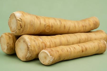 Horseradish heals the respiratory system