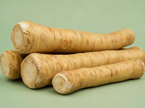 Horseradish heals the respiratory system