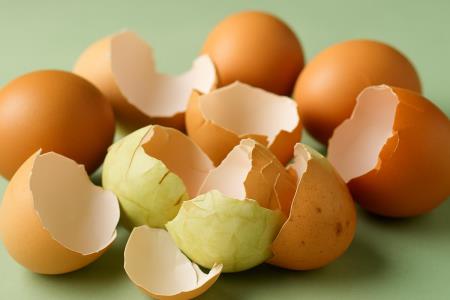 5 unusual uses for eggshells