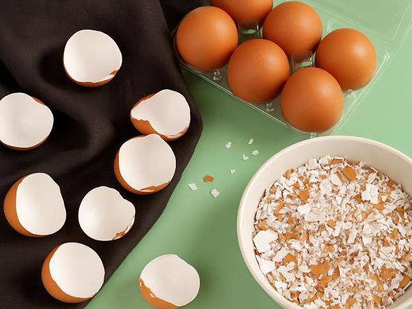 Don't throw away eggshells, rather bake them