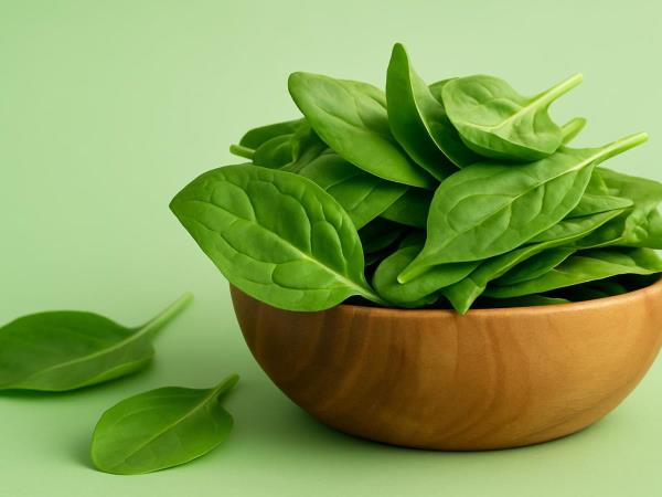 Still Hungry Right After Lunch? Your Triglycerides Might Be the Hidden Reason — and 4 Foods That May Help
