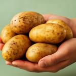 The Forgotten Power of Potato Juice: Why It Deserves a Second Look
