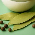 The Kitchen Spice That Ruins a Bug's Whole Day: How Bay Leaves Work Their Magic