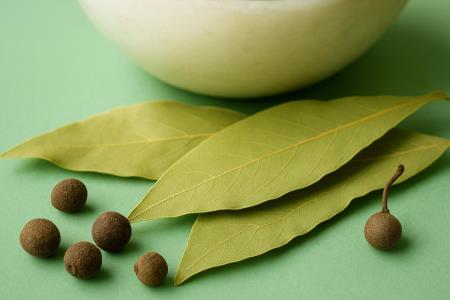 The Kitchen Spice That Ruins a Bug's Whole Day: How Bay Leaves Work Their Magic