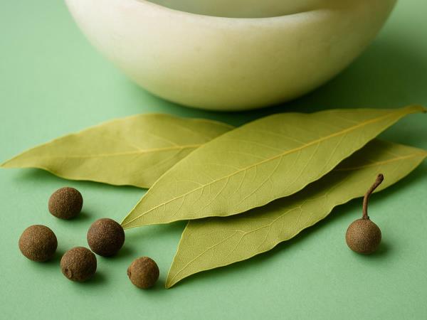 The Kitchen Spice That Ruins a Bug's Whole Day: How Bay Leaves Work Their Magic