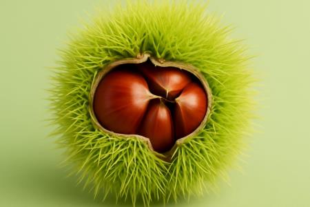 Chestnuts: An Autumn Delight or a Trap for Your Stomach?