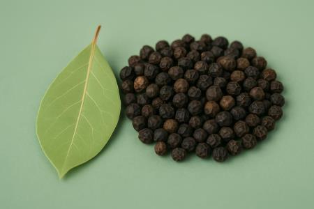 Pepper Isn't Just for Food: 4 Surprises Hiding in the World's Most Popular Spice