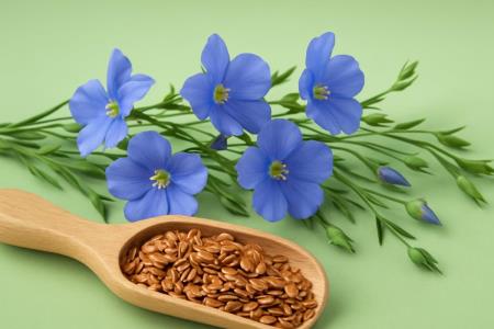 A Spoonful of Nature in a Glass of Water: Why Nutritionists Love Morning Flaxseed