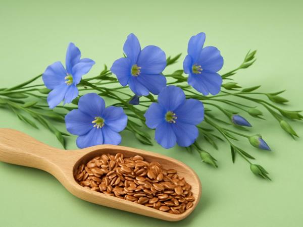 A Spoonful of Nature in a Glass of Water: Why Nutritionists Love Morning Flaxseed