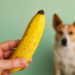 When a Banana Turns Spotty: What Those Brown Freckles Really Mean for Your Health