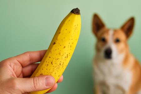 When a Banana Turns Spotty: What Those Brown Freckles Really Mean for Your Health