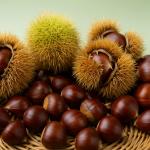 Chestnuts: One of Humanity's Oldest Foods, and a Snack That Keeps You Full for Hours