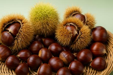 Chestnuts: One of Humanity's Oldest Foods, and a Snack That Keeps You Full for Hours