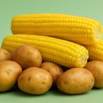 The Potato of the Future: Less Acrylamide When Fried and Less Food Waste – Is Genetically Engineered Food the Answer?