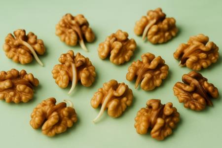 The 14-Day Walnut Secret: Do "Sprouted" Walnuts Really Become a Nutritional Treasure?