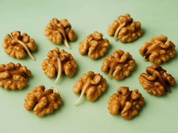 The 14-Day Walnut Secret: Do "Sprouted" Walnuts Really Become a Nutritional Treasure?